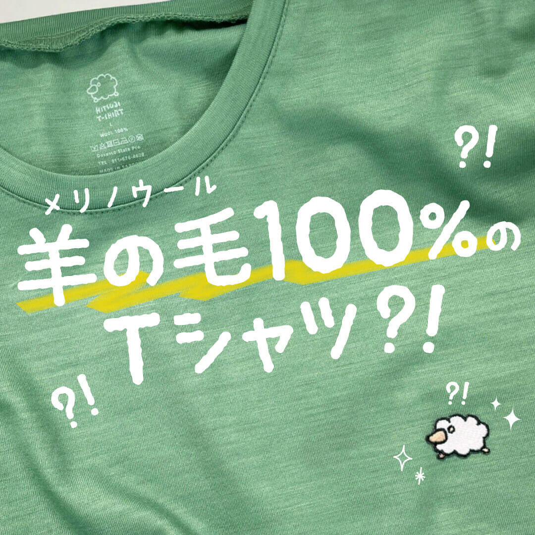 メリノウール100%Tシャツ