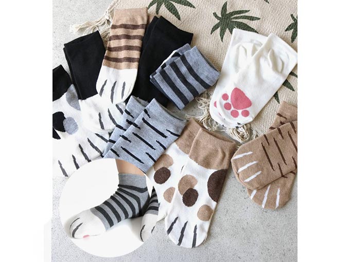 猫靴下 5種類