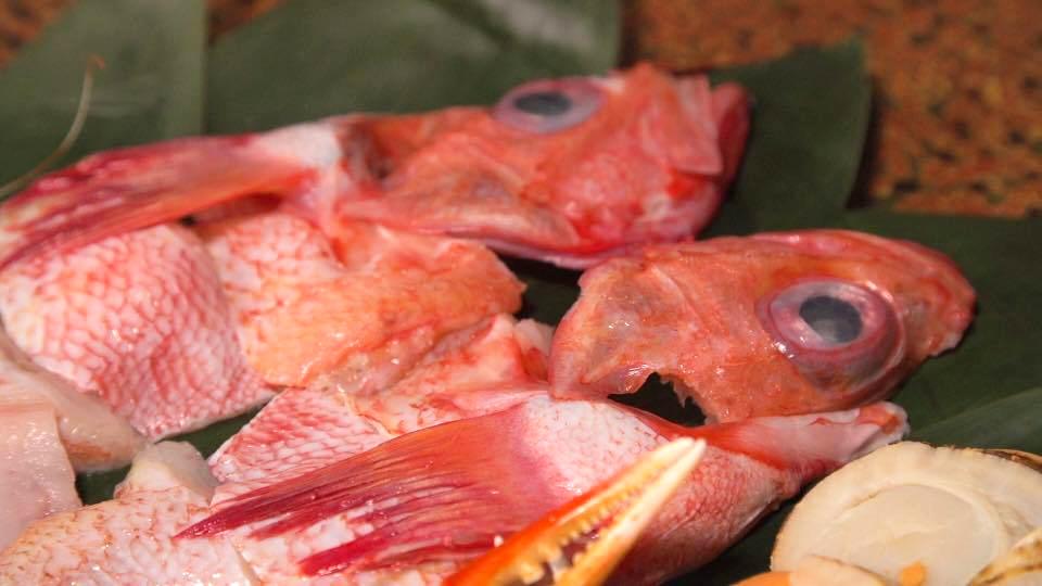 旬の魚きんきを味わおう