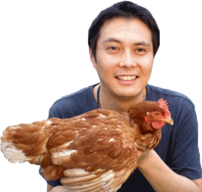 幻の国産鶏が生む有精卵