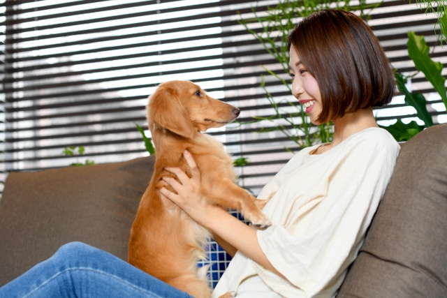 まとめ：人にも、ペットにも快適な空間へ。