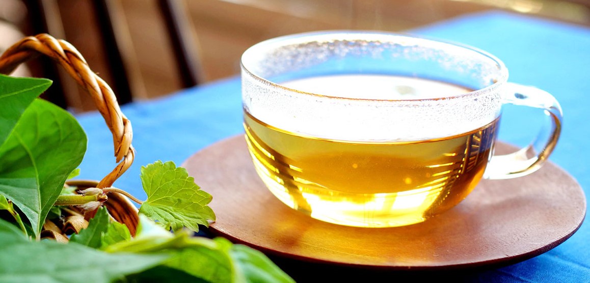佐渡の生命力ある野草を使ったお茶作り