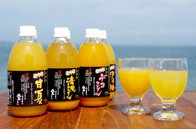 海をバックにしたえひめ段々畑ジュース