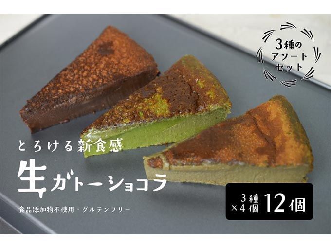 とろける生ガトーショコラ 3種のアソートセット12個入り