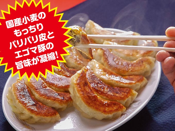 予算3000円で20代から30代の男性上司に送るプレゼントでおすすめの餃子