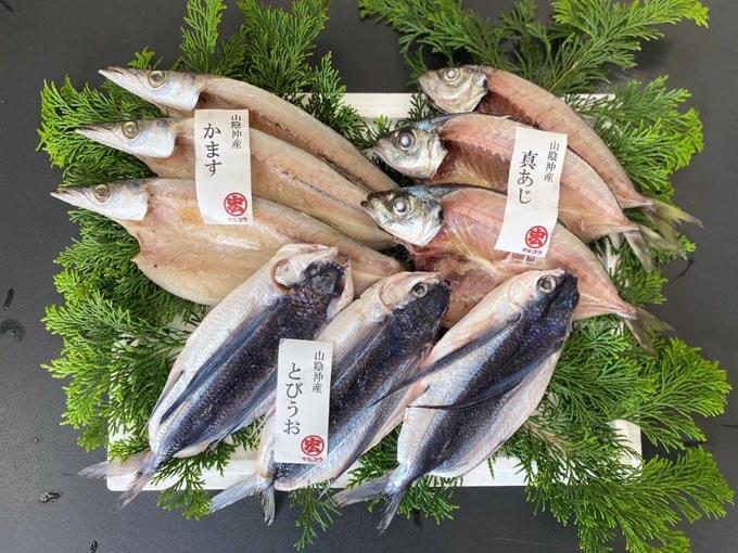 父親の誕生日プレゼントにおすすめの魚の一夜干しセット