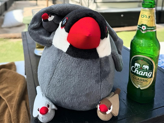魅力5:ちょうどいいサイズ感