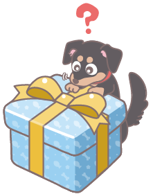 水色のプレゼント