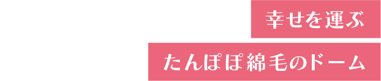 幸せを運ぶ たんぽぽ綿毛のドーム