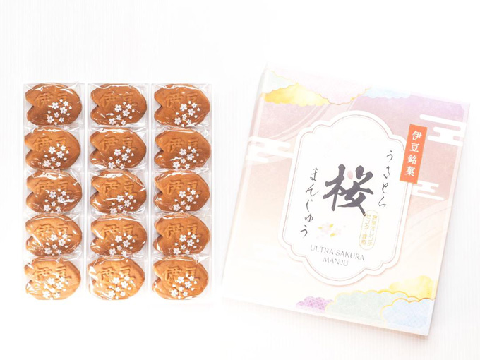 目上の方の快気祝いにもおすすめの和菓子