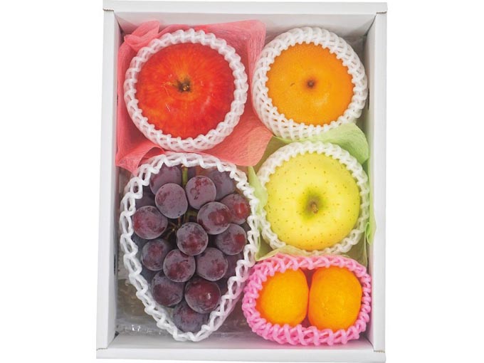 旬を味わうフルーツ詰め合わせ