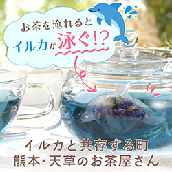 イルカと共存する町 熊本・天草のお茶屋さん