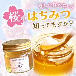 春しか採れない！桜のはちみつ知ってますか？