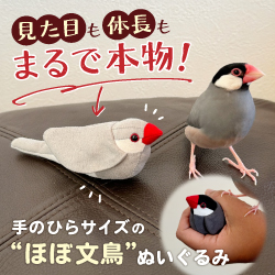 見た目も体毛もまるで本物！手のひらサイズのほぼ文鳥ぬいぐるみ