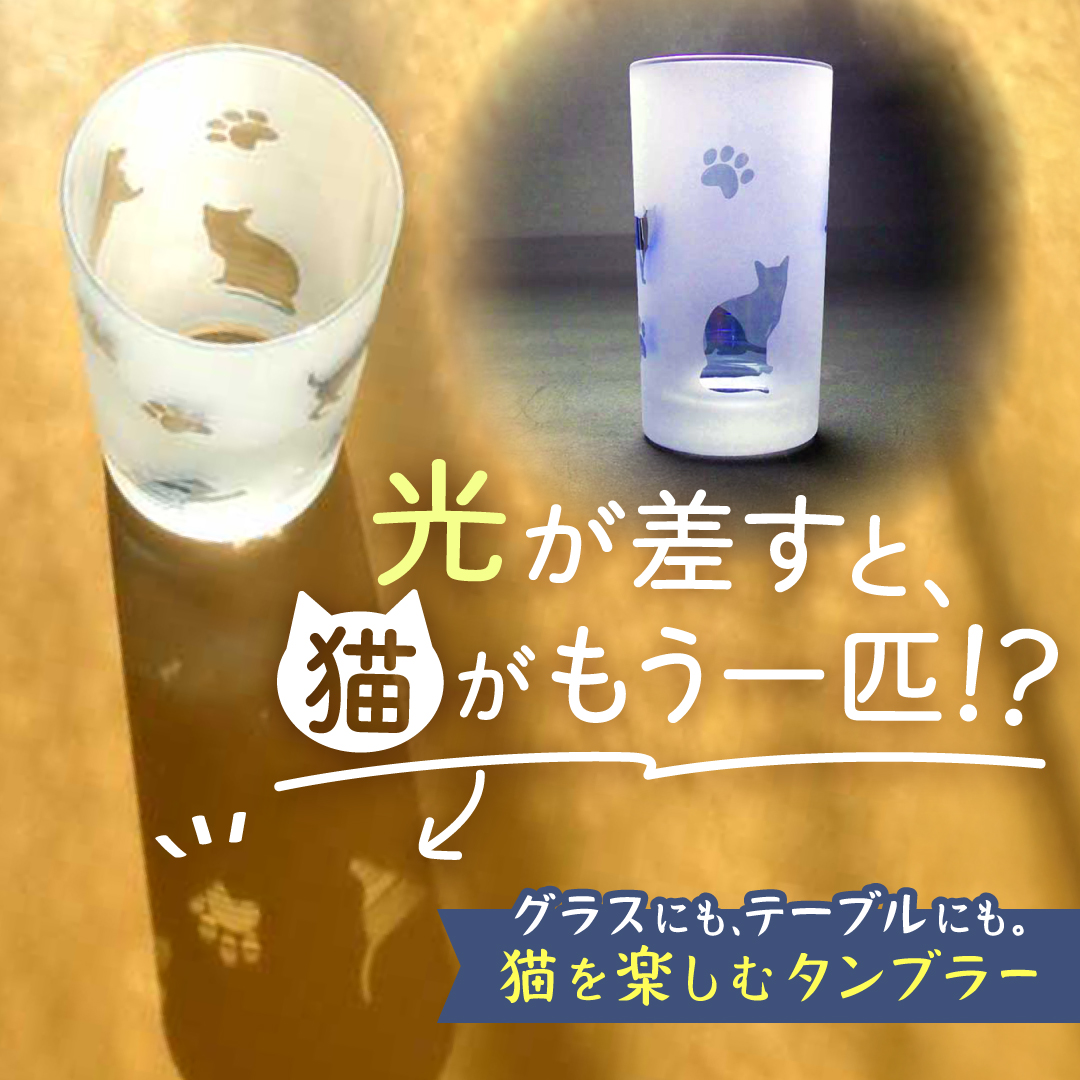 光が差すと、猫がもう一匹!?グラスにも、テーブルにも。猫を楽しむタンブラー