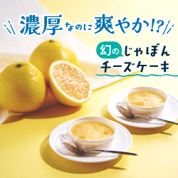 濃厚なのに爽やか 幻のじゃぼんチーズケーキ