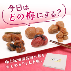 今日はどの梅にする？十人十梅