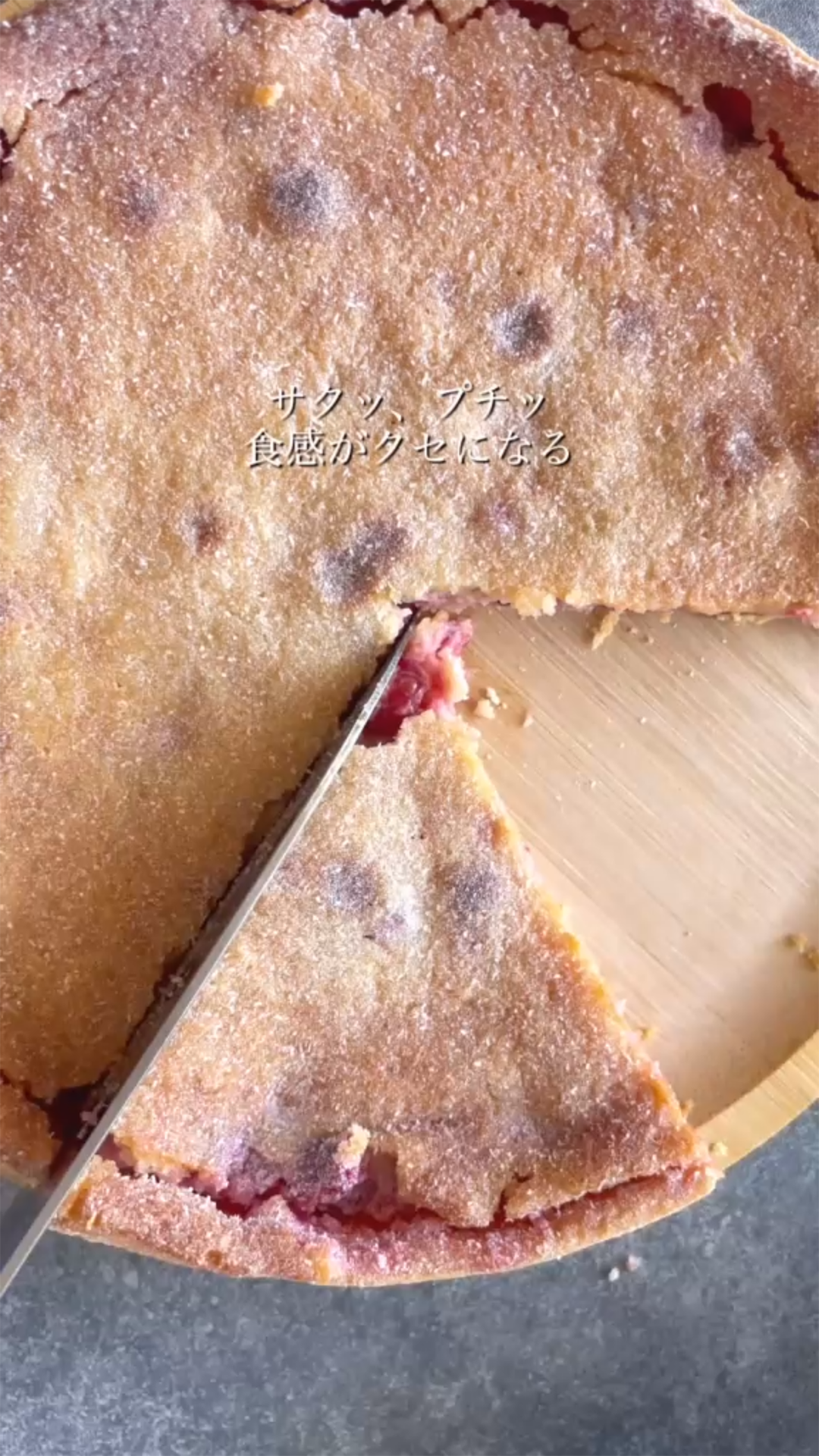 サムネ_リール_タルト・グロゼイユ