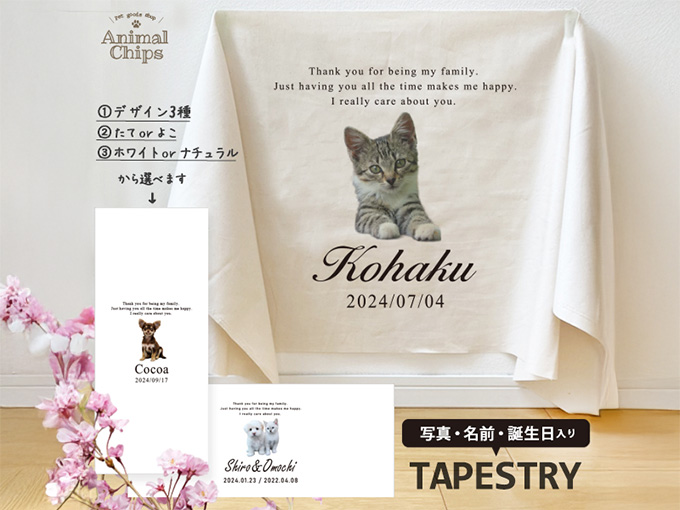 個性的・ウケ狙いにおすすめのプレゼント