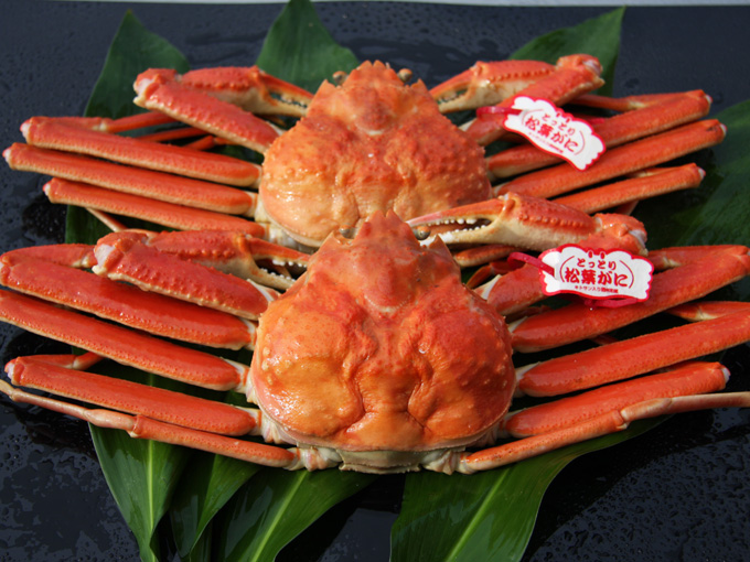 松葉がに鍋セット特大（約2枚分）鍋用だしパックつき