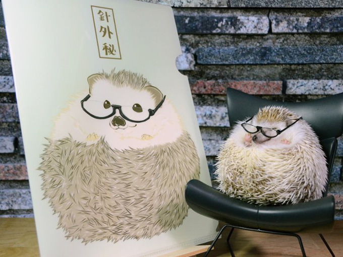 こんな商品あったらいいなを叶えるクリアファイル【針外秘】