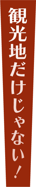 札幌市だけじゃない！