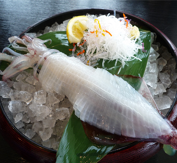 活イカ（白いか）