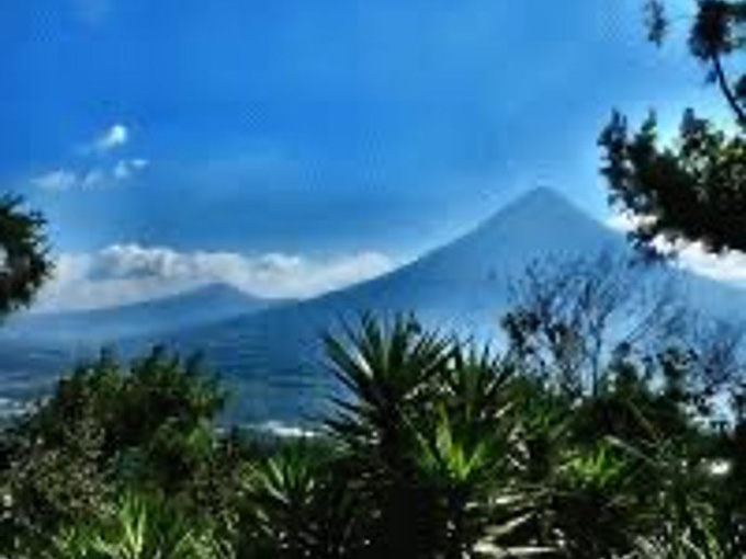 フルーティーでトロピカル感のある味わいのグァテマラの豆