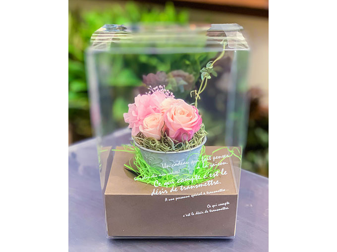 義母に気軽に贈れるお花ギフト