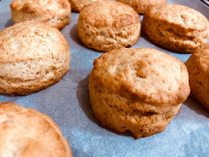 同窓会の記念品でおすすめのビスケットスコーン