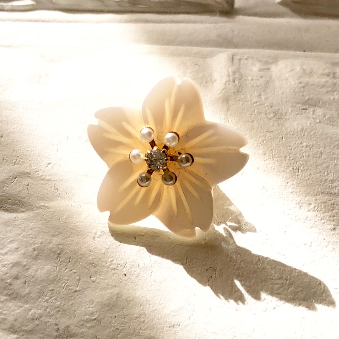 桜で感じる、春気分。