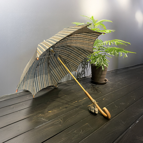 春の日差しから守るもの