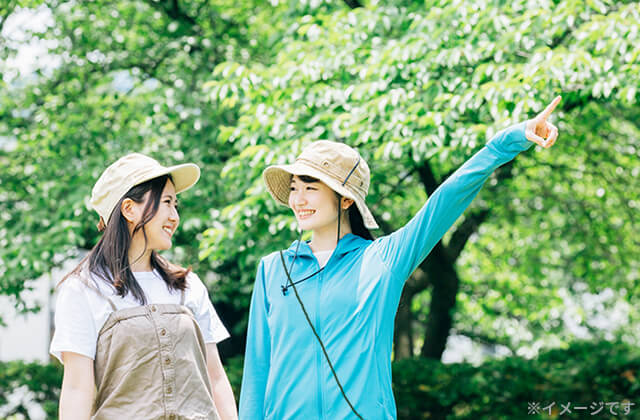 散策中の女性二人
