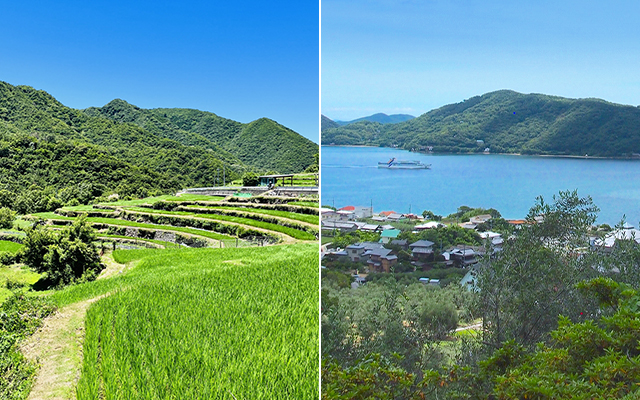 中山千枚田／瀬戸内海