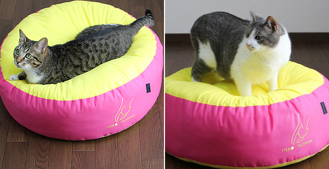 カラーコットンふくまるベッド（こすもす）