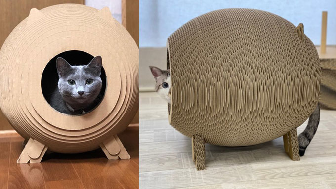 にゃんボールセンコー