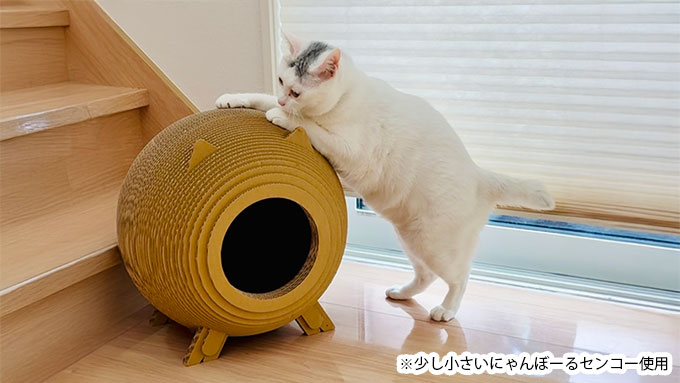 にゃんボールセンコー
