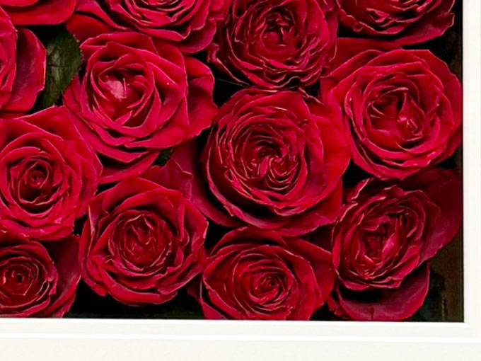 ブリザーブドフラワー