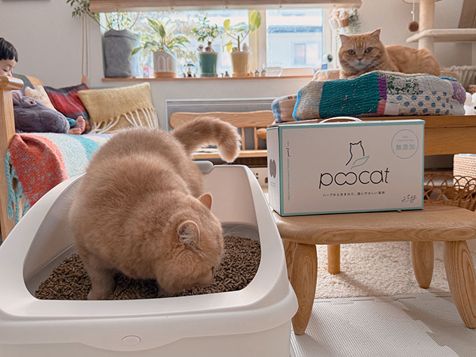 天然素材100%で猫にも環境にもやさしい・猫砂「poocat（プーキャット）」