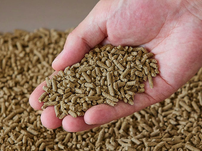 天然素材100%で猫にも環境にもやさしい・猫砂「poocat（プーキャット）」