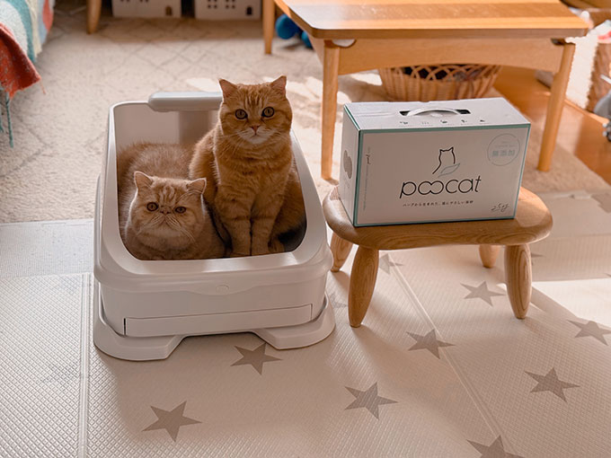 天然素材100%で猫にも環境にもやさしい・猫砂「poocat（プーキャット）」