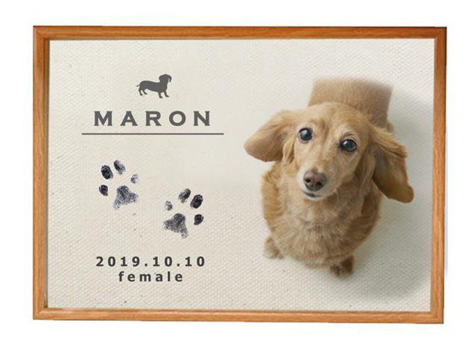 世界にひとつだけの「愛犬メモリアルキャンバス」
