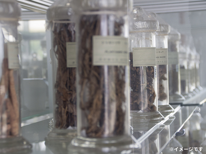 健康茶リラクス