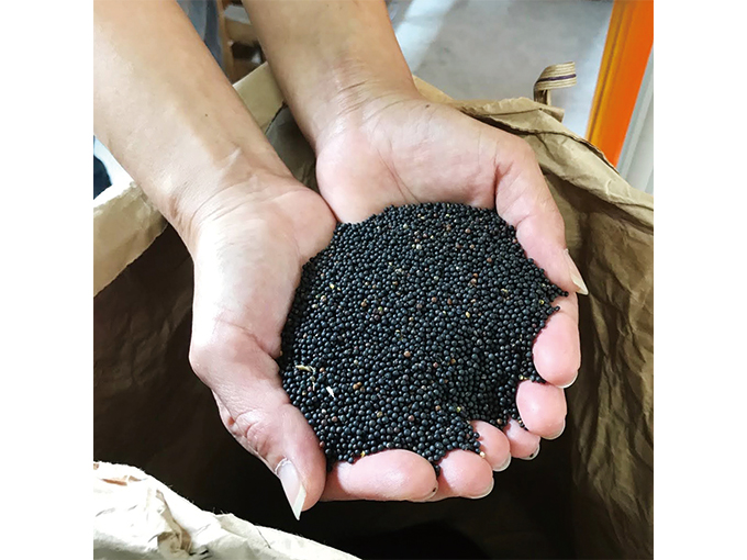 溶剤・防腐剤・消泡剤不使用のなたね油