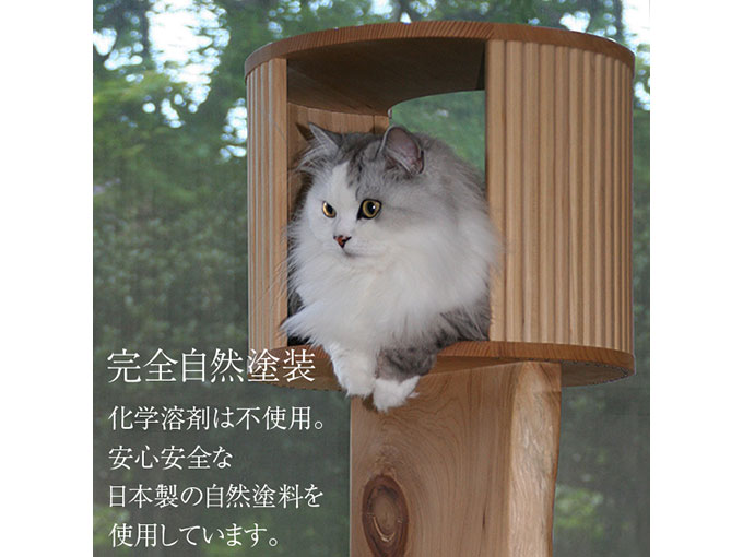 キャットタワー