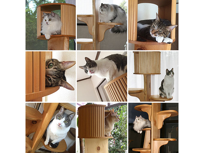キャットタワー