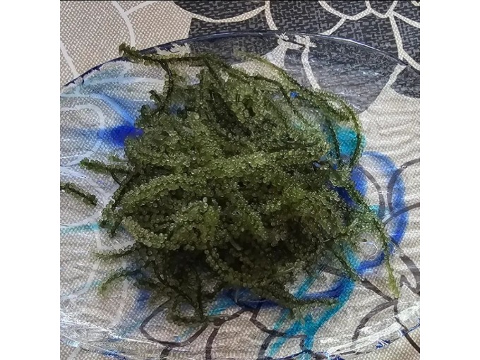 お皿の上に乗った海ぶどう