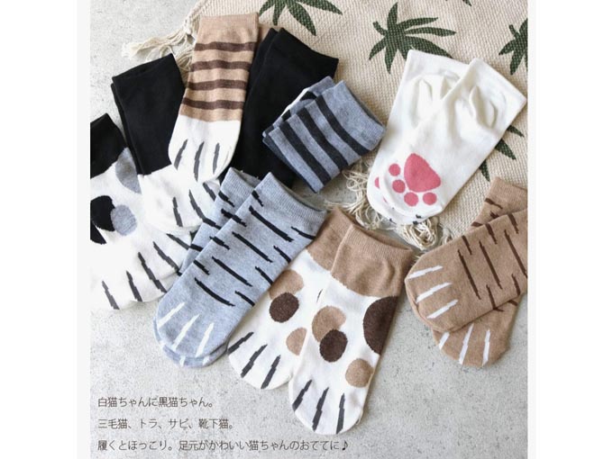 ねこ靴下 5種類