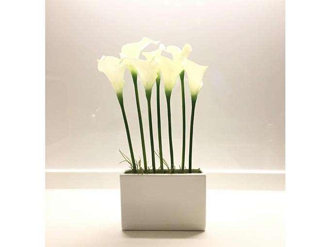 インテリアスタイル　フラワーギフト