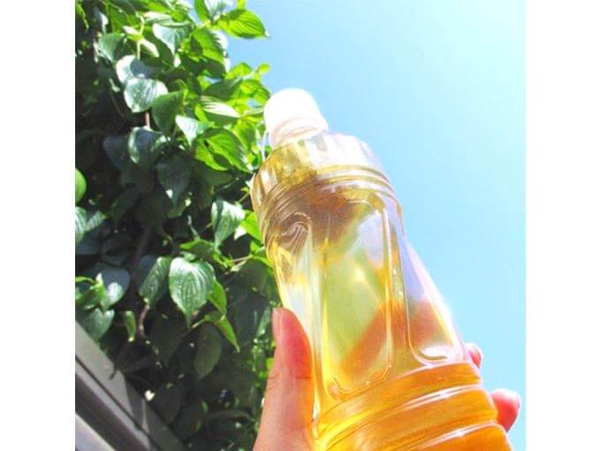 水出しハーブティーSummerGreen